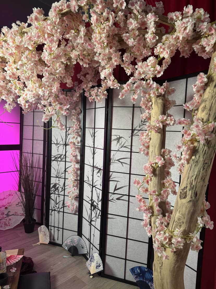 Skylight Studio Japan Area 3